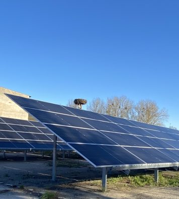 instalacja 50 kWp na gruncie Wapnica, zachodniopomorskie